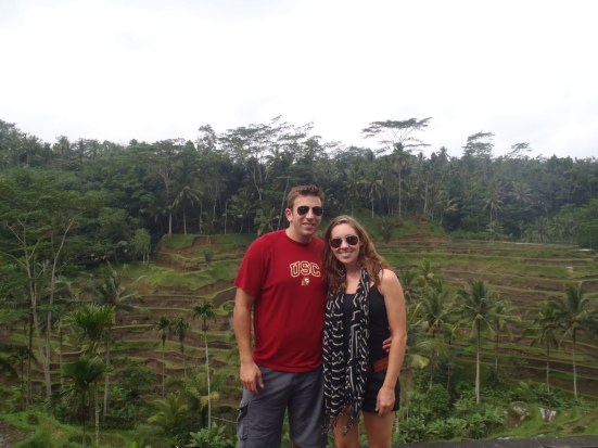 Balinese rice paddies