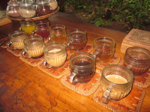 Balinese Coffee Tasting