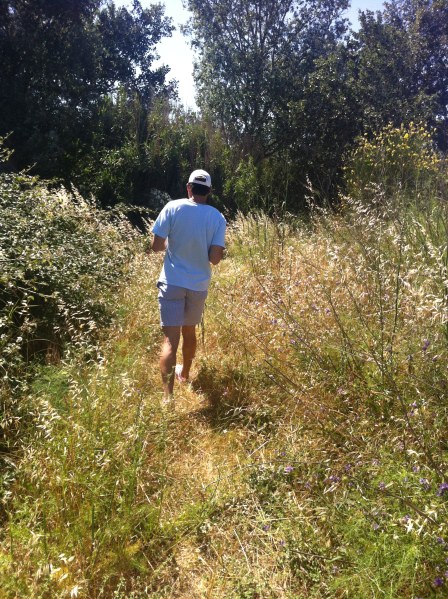 Hiking in Arles