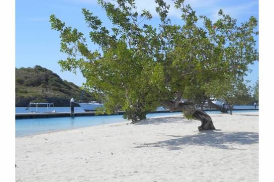Hyatt Beach, Curacao