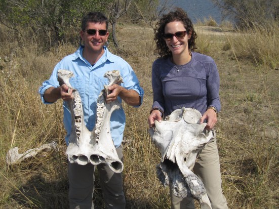 Holding a hippo's jaw while on safari in South Africa