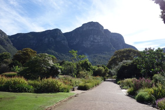 Kirstenbosch Botanical Garden