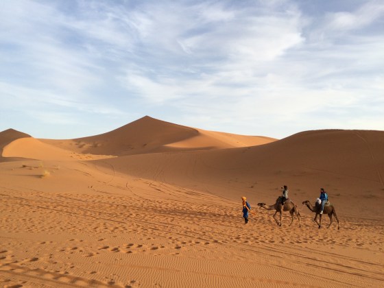 Camel trekking in the Sahara