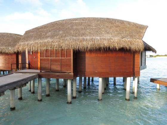 10355441_10100339553493944_3809910131736898347_o