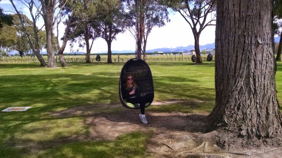 Wine tasting at Cloudy Bay Winery in Malborough