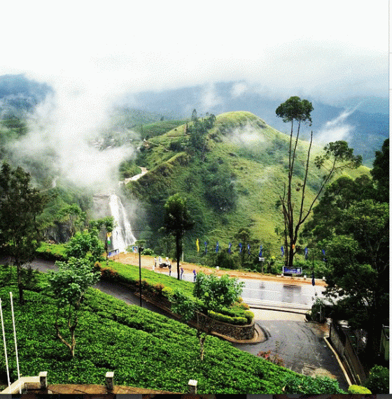Sri Lanka Tea Estates