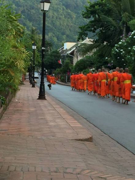 Monks in Luang Prabang